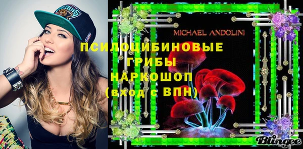 крисы Вязники