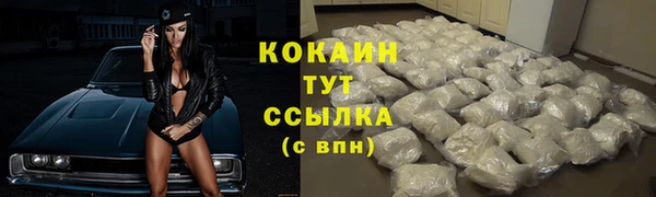 прущий лед Вязьма