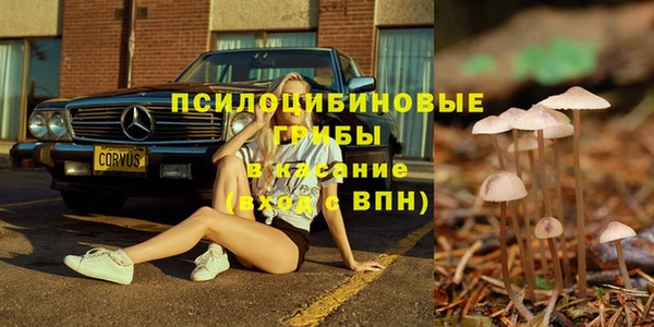 крисы Вязники