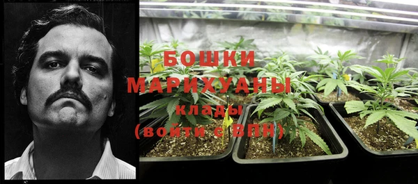 прущий лед Вязьма