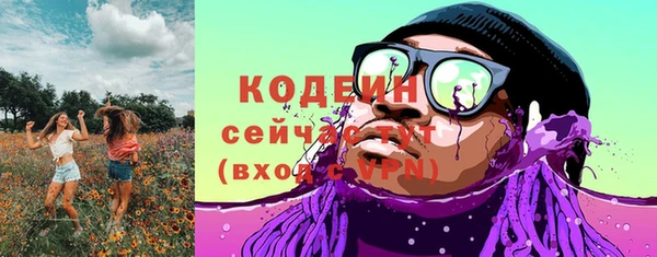 крисы Вяземский