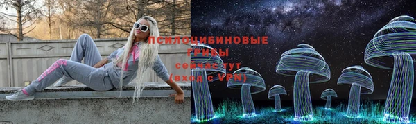 прущий лед Вязьма