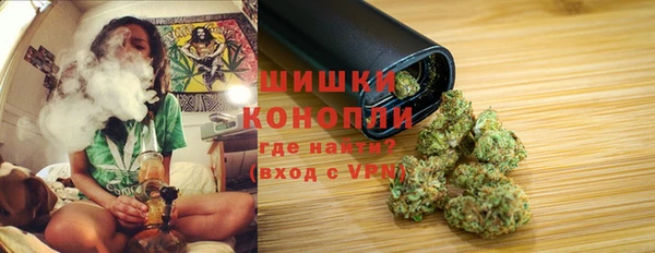 прущий лед Вязьма