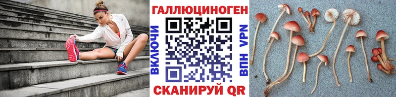 Псилоцибиновые грибы GOLDEN TEACHER  Купить закладки  Кологрив 